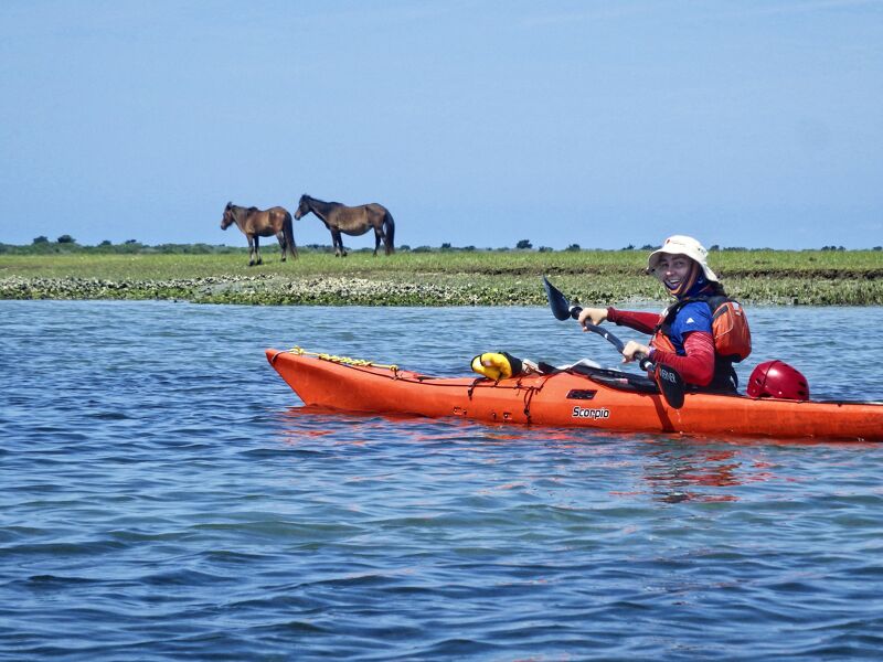 A person is kayaking on a body of water. The kayaker is wearing a hat and a life jacket. In the background, there is a grassy shoreline with two horses grazing. The sky is blue and clear. The kayak is orange. The water is calm.